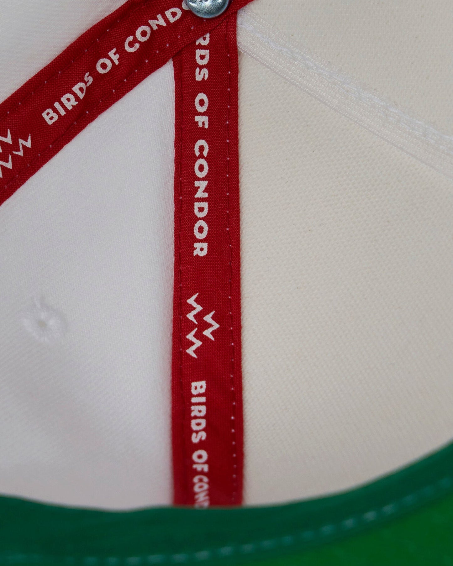Detail of the white snapback interior showing red branded taping and green brim stitching.