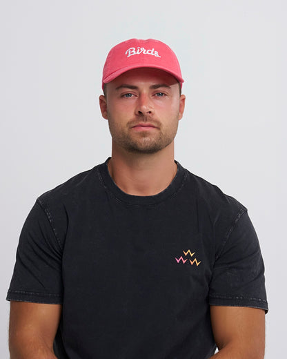 Birds Cap