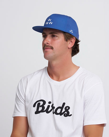 Water Hazard Snapback