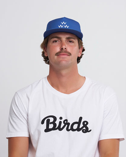 Water Hazard Snapback