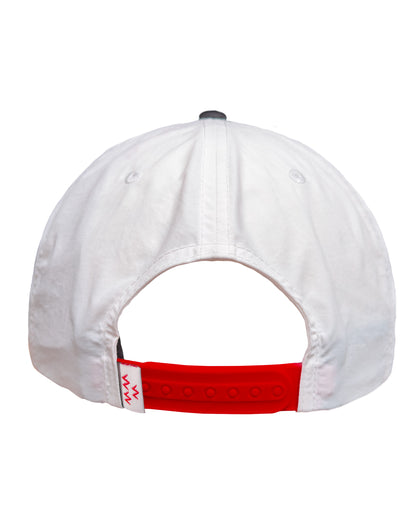 Livin' the Dream Snapback