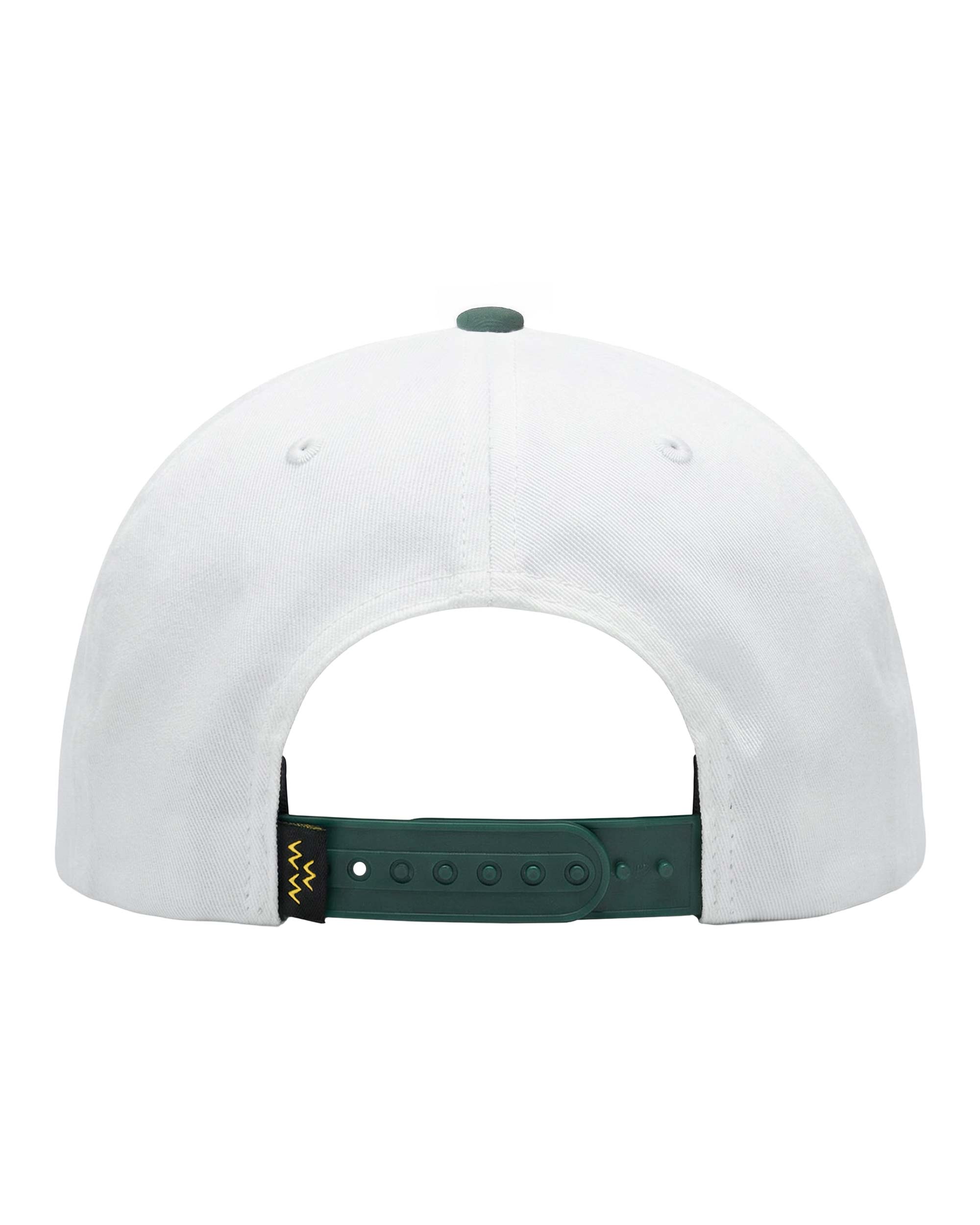 AZ Society Snapback | Birds of Condor