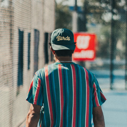 Birds Snapback – Alpine Green