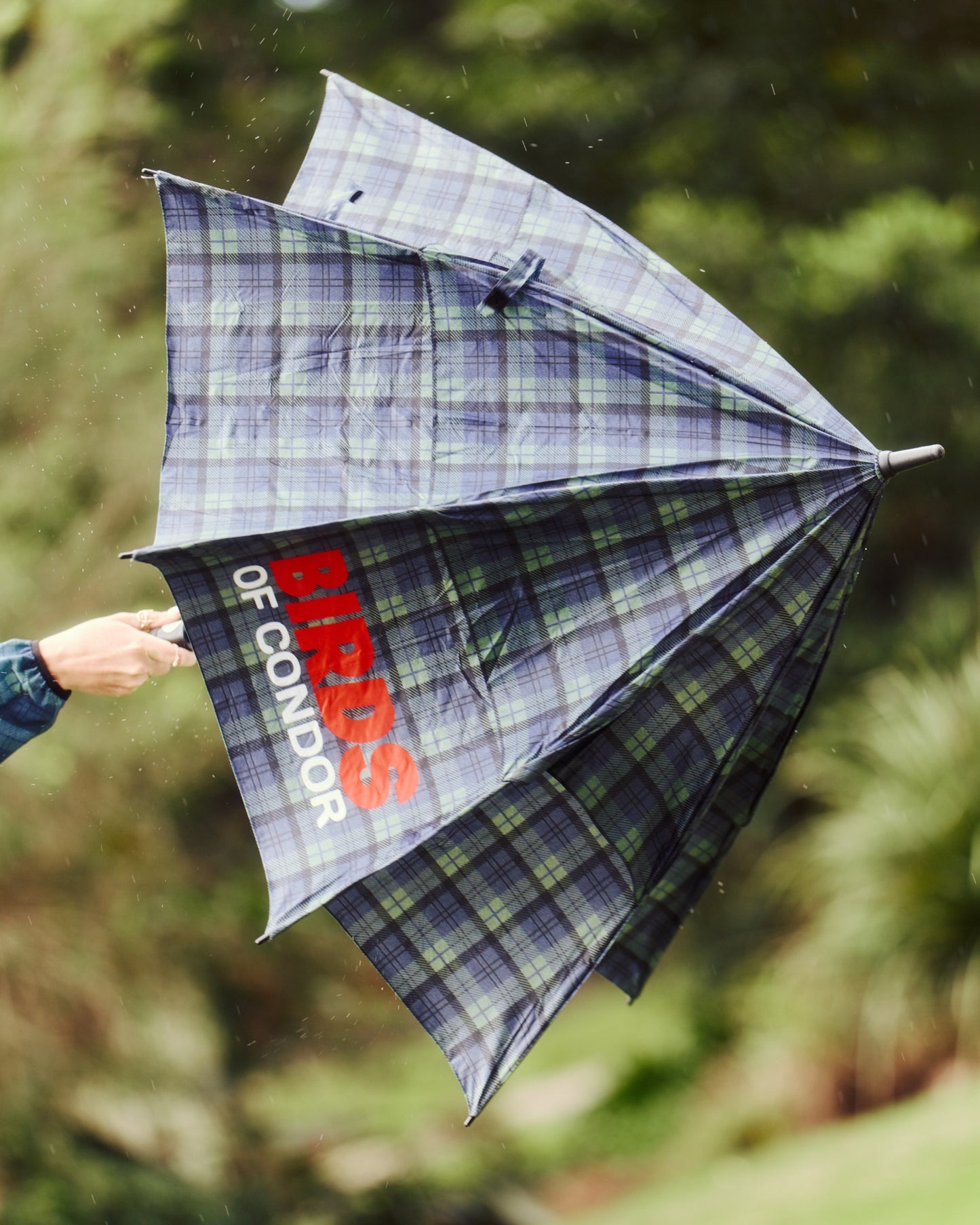 Lawn Pawn Umbrella