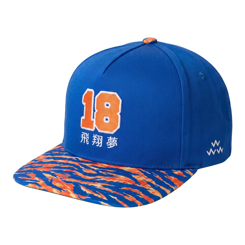 18 Snapback