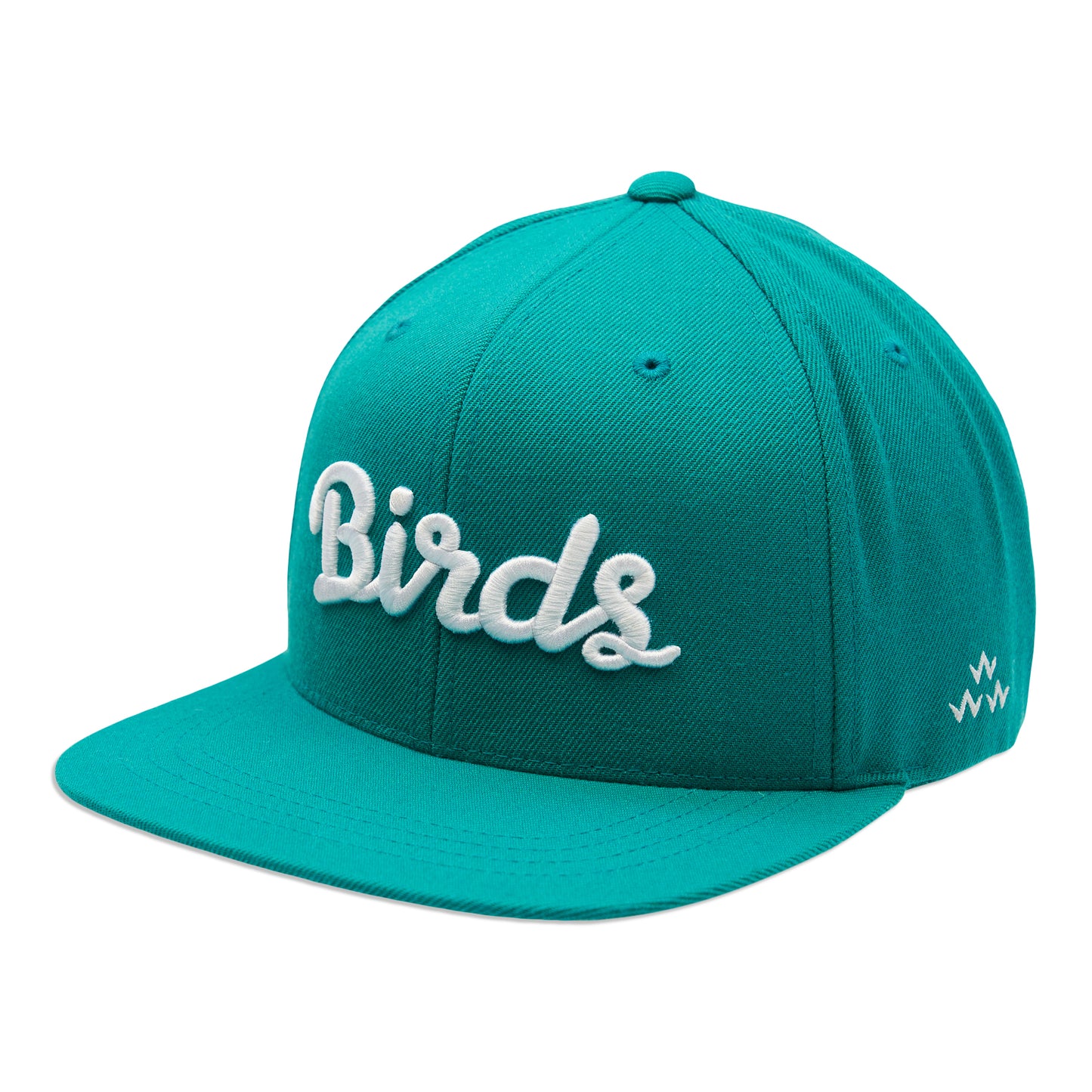 birds-of-condor-aqua-blue-green-flat-peak-snapback-hat-ront