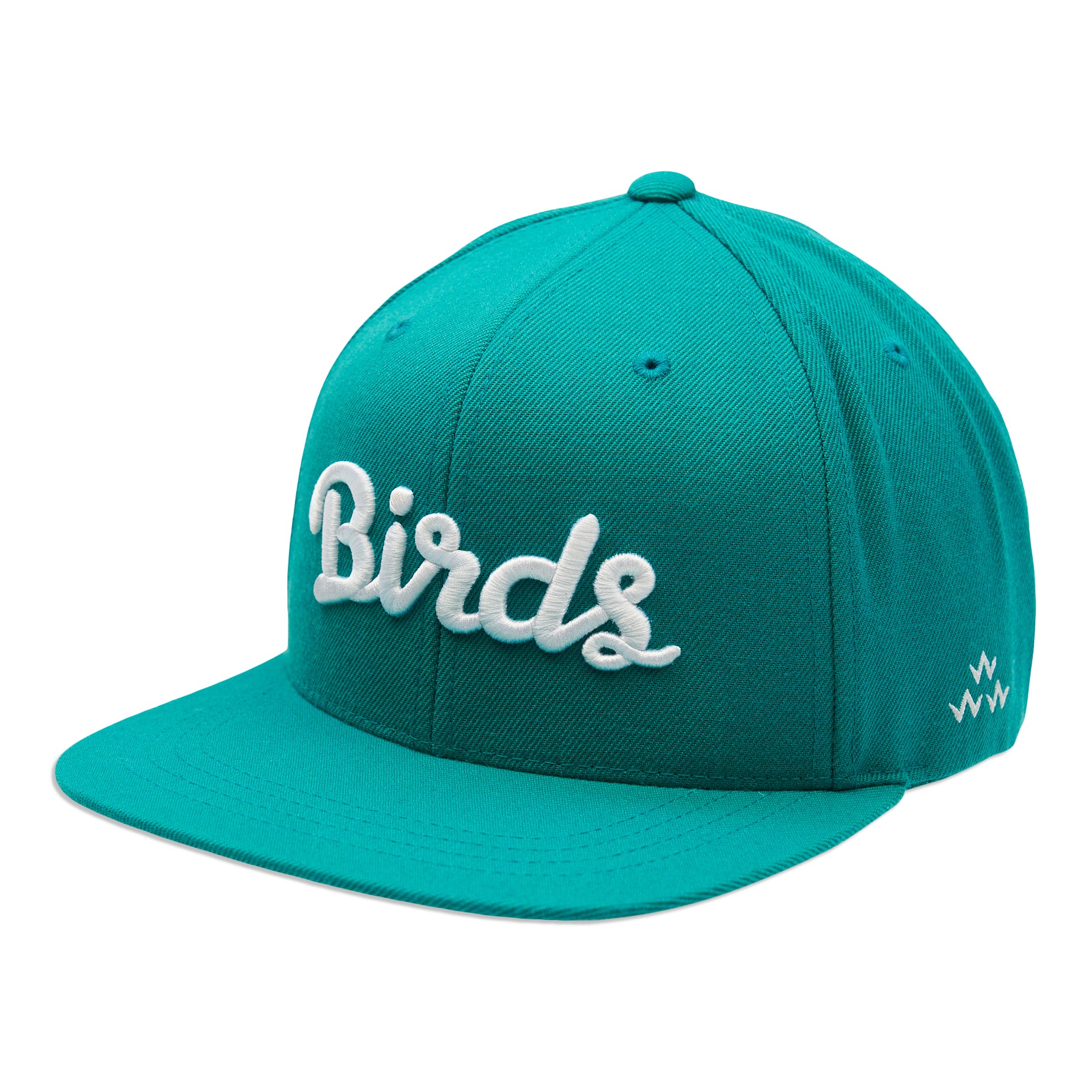 birds-of-condor-aqua-blue-green-flat-peak-snapback-hat-ront