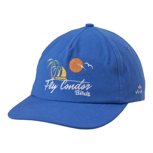 birds of condor blue fly condor snapback golf hat cap